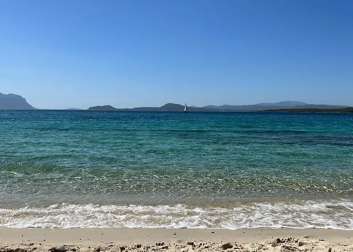 Dome House 4* אולביה